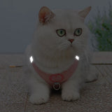 Winter Pet Vest Cute Cat Towing Rope Comfortable Warm Plush Chest Back Towing Rope Dog Rope Reflective Collar Fashion Clothes