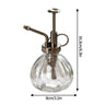 Vintage Glass Watering Can Retro Air Pressure Spray Bottle Garden Plant Watering Bottle Household Sprinklers Disinfection Tool