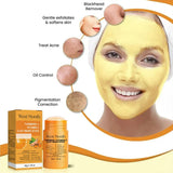 Organic Turmeric Mask Stick Healing Clay Pore Cleansing Facial Mask Acne Scars Reduction Face Mask Improve Skin Tone and Texture