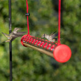 Hummingbird Feeder with Hole Birds Feeding Transparent Pipe Easy to Use Household Traditional Garden Feeding Supplies with Hole