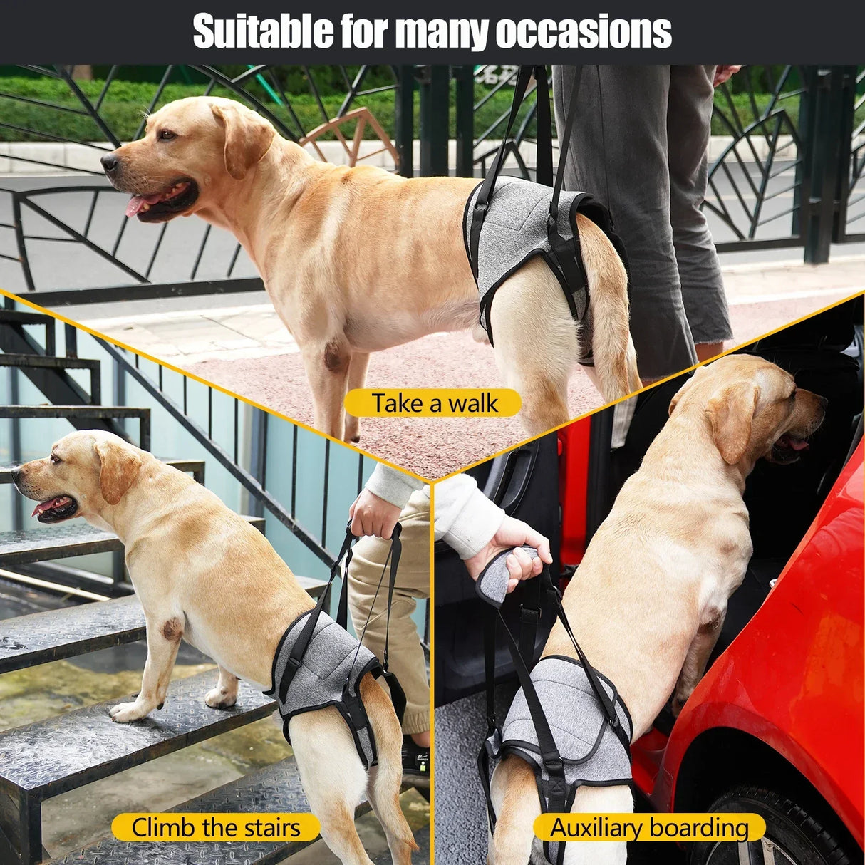 Dog Harness Support Brace for Leg Injury Protector Outdoor Walking Lead Leash for Dog Disability Pet Collar Handheld Padded