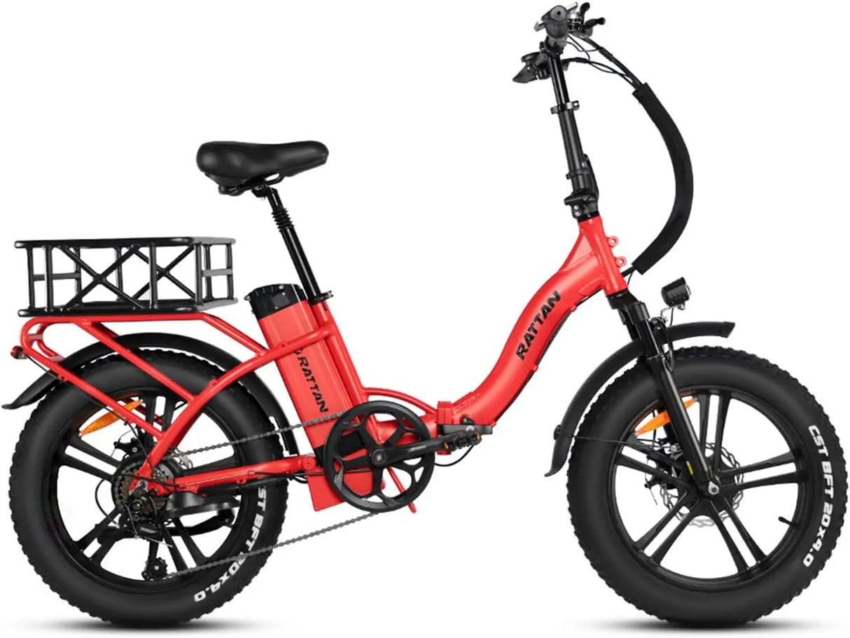 Electric Bike for Adults,750W 48V 13AH Removable Battery Foldable Electric Bikes, 20" x 4.0 Fat Tire 2 Seater Electric Bicycles