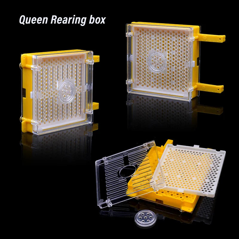 Germany Jenter Queen Rearing Kit Nicot Bee Queens Rearing System Queen Bee Larva Move Cage Goods Tool For Beekeeper Supplies