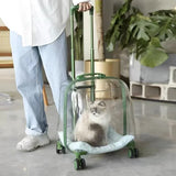 1PCS Clear pet backpack, cat carrier bag, portable capsule, pet carrier bag