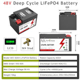 48V 40AH 100AH LiFePO4 Battery Pack Built-in 2000W 4000W BMS 6000 Cycles For Electric bike Scooter motorcycle Golf cart