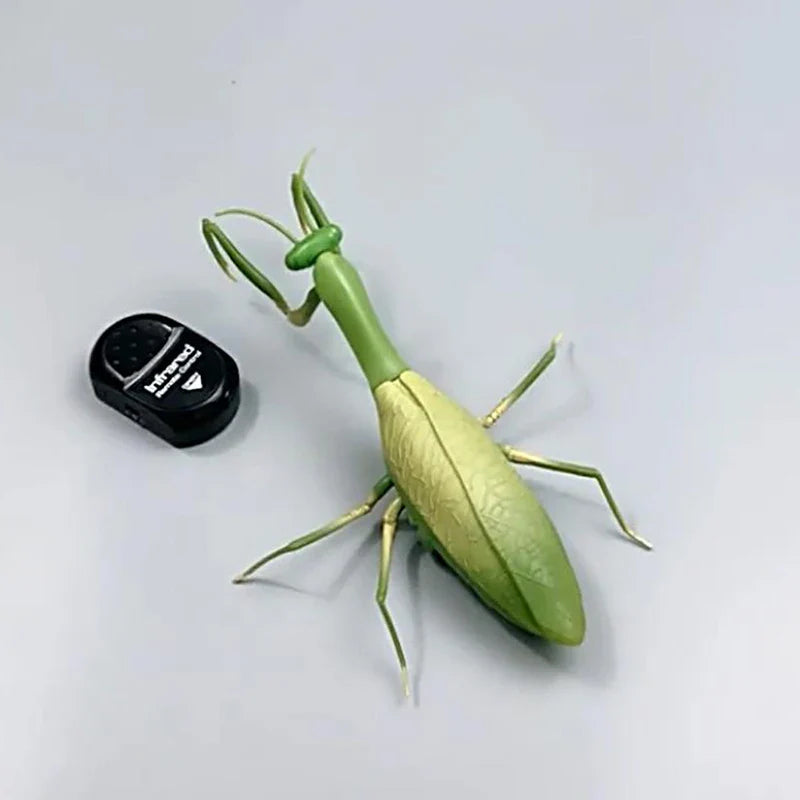 RC Animal Robot Antistress Insect Toys Infrared Simulation Spider Bee fly mantis Electric Toy for Children Prank Insects pet toy