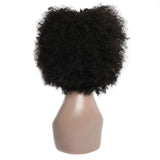 Short Curly Human Hair wigs for Black Women Newmi Afro Kinky Curly Wig Human Hair Natural Black Short Pixie Curl Afro Wig