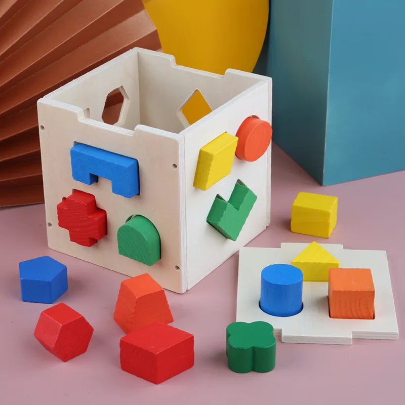 Montessori 15 Hole Intelligence Box Geometric Shapes 3D Puzzle Early Education Three-Dimensional Wooden Paired Building Block