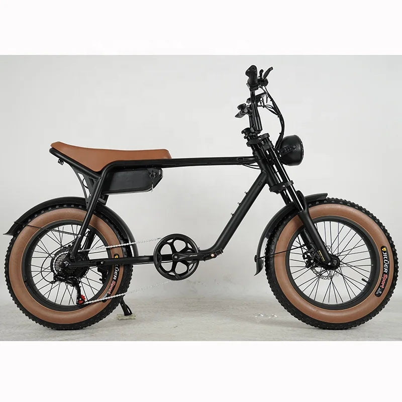 20 inch K3 Electric Bike High Motor 750W 48V 15AH Mountain Off-road Fat Tire Electric Bicycle Motorcycles