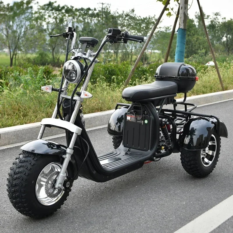 China 3wheel Three speed regulation Charge Power Mobility Scooter three wheel electric bike tricycle adult motorcycle