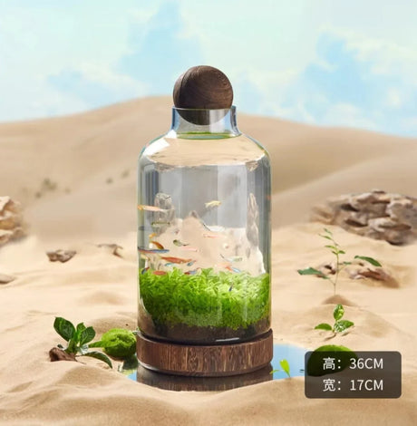 Ecological Bottle Micro Landscape Glass Ecological Fish Tank Aquarium Aquarium Small Fish Water Grass Bottle