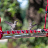 Hummingbird Feeder with Hole Birds Feeding Transparent Pipe Easy to Use Household Traditional Garden Feeding Supplies with Hole