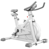 Professional Indoor Cycling Iron Fitness Magnetic Spin Bike Resistance Spinning Exercise Bike