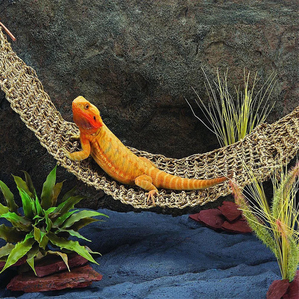 2 Pcs Climbing Pet Hammock Lizards Toys Seagrass Reptile Beds Hammocks Seaweed Hide Summer Reptiles Hanging Cushions