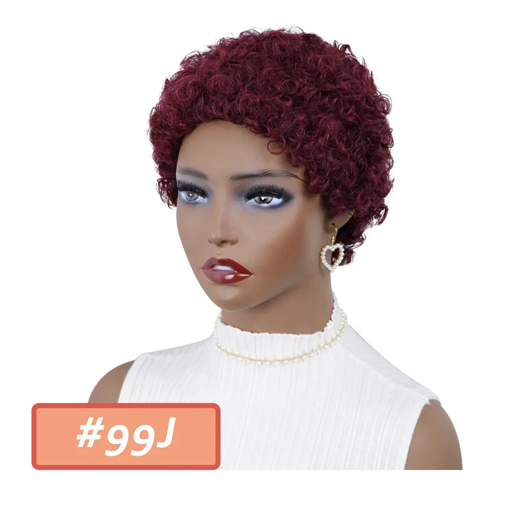 Kinky Curly Wigs Short Wigs for Black Women Human Hair Brazilian Curly Human Hair Wigs Full Machine Made Pixie Cut Wig Glueless