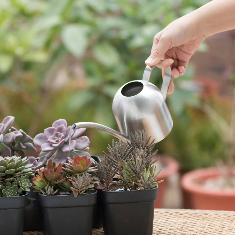 Stainless Steel Watering Pot Garden Plant Flower Long Mouth Sprinkling Pot Watering Accessories 450ml/800ml/1500ml