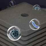 Bio Sponge Filter for Aquarium Fish Tank Shrimp Pond Air Pump Biochemical Ball Filtration Noiseless Foam aquarium accessories