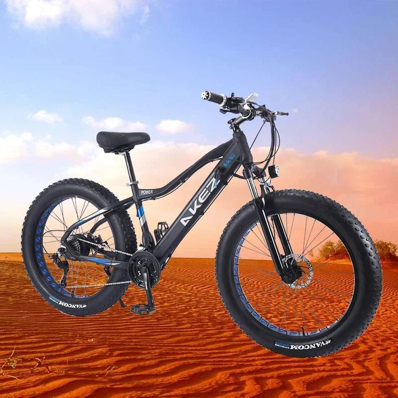 US EU UK 4.0 Fat Tire 26 Inch Electric Snow Bicycle Mountain e bike 750W Brushless Motor Cruiser Bikefor Men Electric bicycle