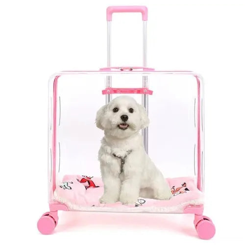 Stroller Kitten Cat Carriers Crate Backpack Transporter Cat Carriers Trolley Animal Trasportin De Gato Pets Products Dog