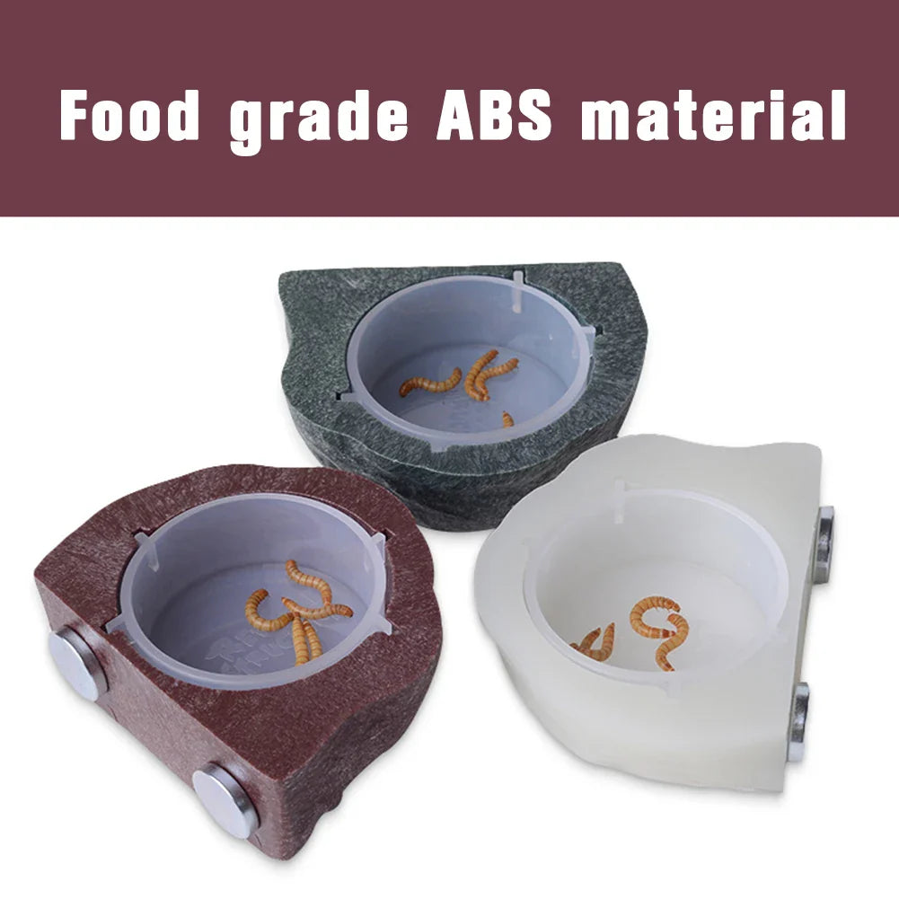 New Reptile Gecko Food Water Bowl Magnetic Adsorption Feeding Dish With Separate Food Basin Bearded Dragon Terrarium Decor