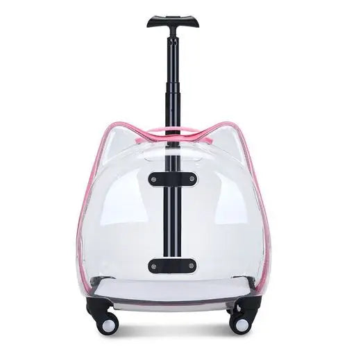 Cute Handbags Wheels Cats Carriers Animal Kitten Carrier Cats Carriers Stroller Travel Trasportin De Gato Cat Accessories