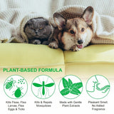 Fleas for Cats Powerful Prevention and Control for Tick Fleas Eggs Fleas and Prevention for Dogs