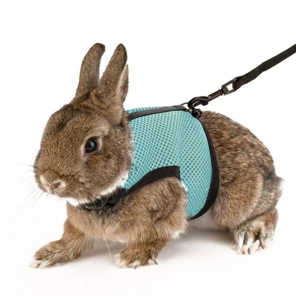 Pet Rabbit Safety Belt Set Adjustable Buckle Decorative Soft Pet Rabbit Chest Strap Traction Leash Collar Kit Dogs Supplies