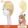 MEIFAN Synthetic False Bangs Clip-In Bangs Extension Natural Neat Fake Fringe Topper Hairpiece Invisible Clourse Hairpieces