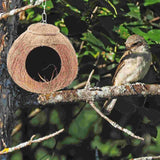 Coconut Shell Bird Nest Coco Birds House Parrots Hide Hut Habitats Decor Parrot Cage Accessories Lovebirds Cockatiel