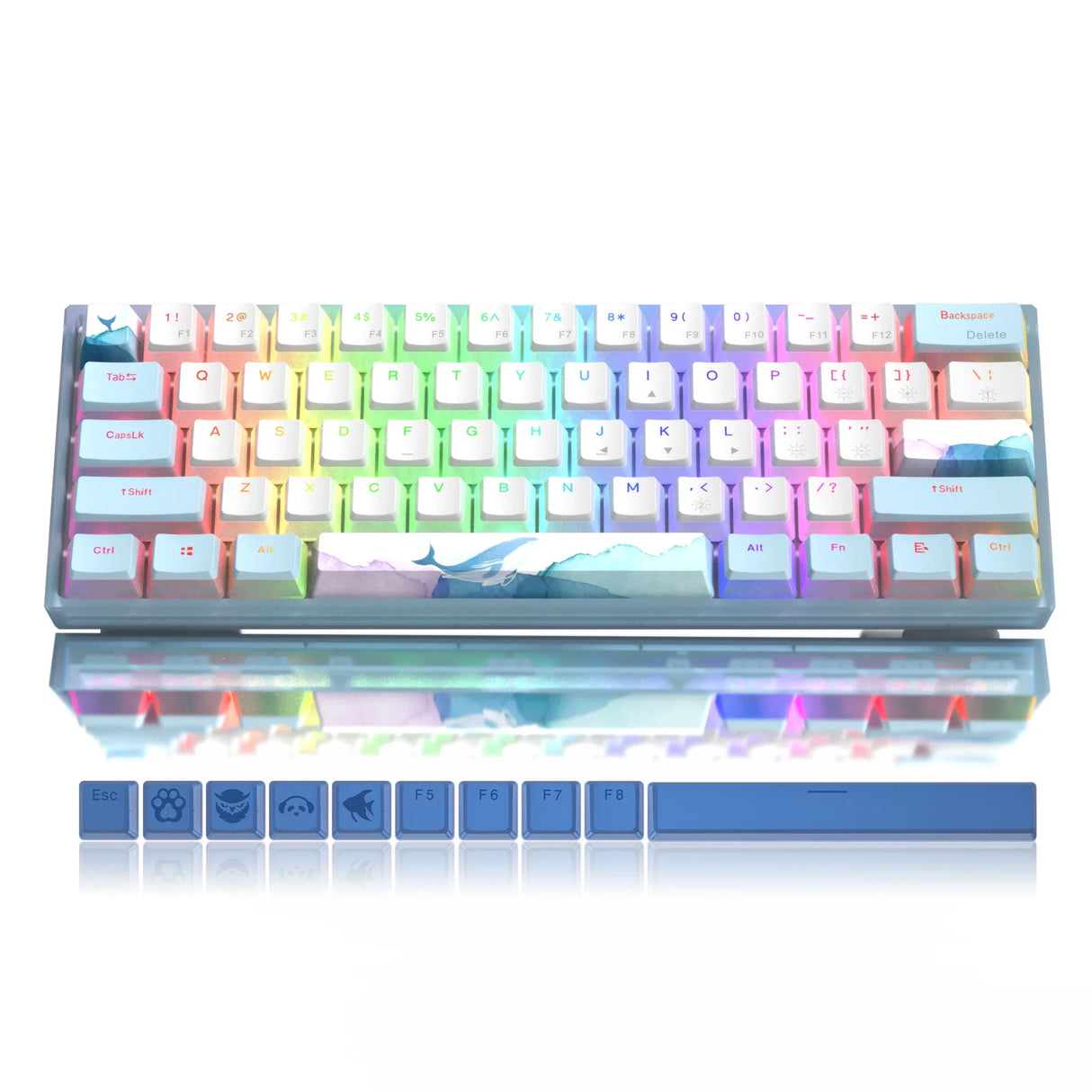 Womier WK61 Mechanical Keyboard RGB Wired Gaming Keyboard Hot-Swappable Blue Sea Theme with PBT Keycaps for Windows PC Gamers