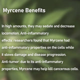 10-30ML food-grade Natural Beta Myrcene terpene oil with 78.6% Purity for DIY flavor liquid cosmetic or Aromatherapy or perfume