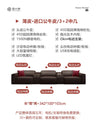 Italian minimalist electric leather sofa Home theater video hall video room video viewing function sofa