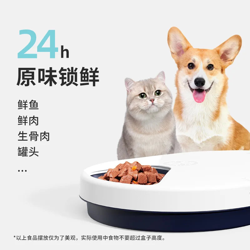 Air Radish Fresh Food Wet Food Refrigerator Automatic Pet Feeder Cat Dog Pet Smart Feeder Food Sharing