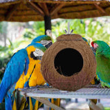 Coconut Shell Bird Nest Coco Birds House Parrots Hide Hut Habitats Decor Parrot Cage Accessories Lovebirds Cockatiel