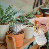 Watering Bottle Can Spray Glass Water Plant Flower Sprayer Pot Small Vintage Pump Spritzer Mister Kettle Empty Plants Indoor