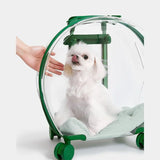 Carrier Bag for Big Cat, Lightweight, Transparent Pet Trolley Case, Outing Bubble, Hiding House, Stroller Box, Pet Suitcase