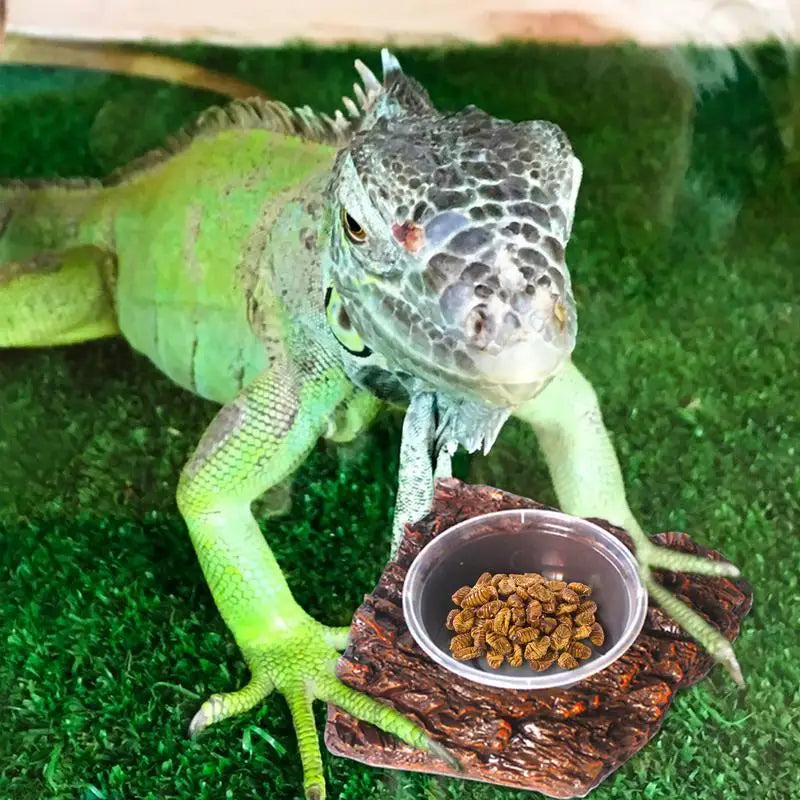 Snake Water Bowl Resin Reptile Food Dish Bearded Dragon Bowl Bearded Dragon Bowl Rock Terrarium Bowls Food Water Storage Basin