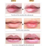 24pcs/Box Wholesale Lip Balm Fruit Flavor Lip Gloss Bulk Cute Round Ball  Plant Kids Baby Girls Lips Care Moisturizing