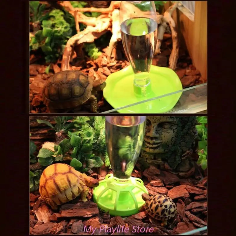 Reptile Water Drinker Feeder Water Dispenser Bottle Aquarium Ornament Terrarium Dish for Turtle Food and Water Bowl with Fence