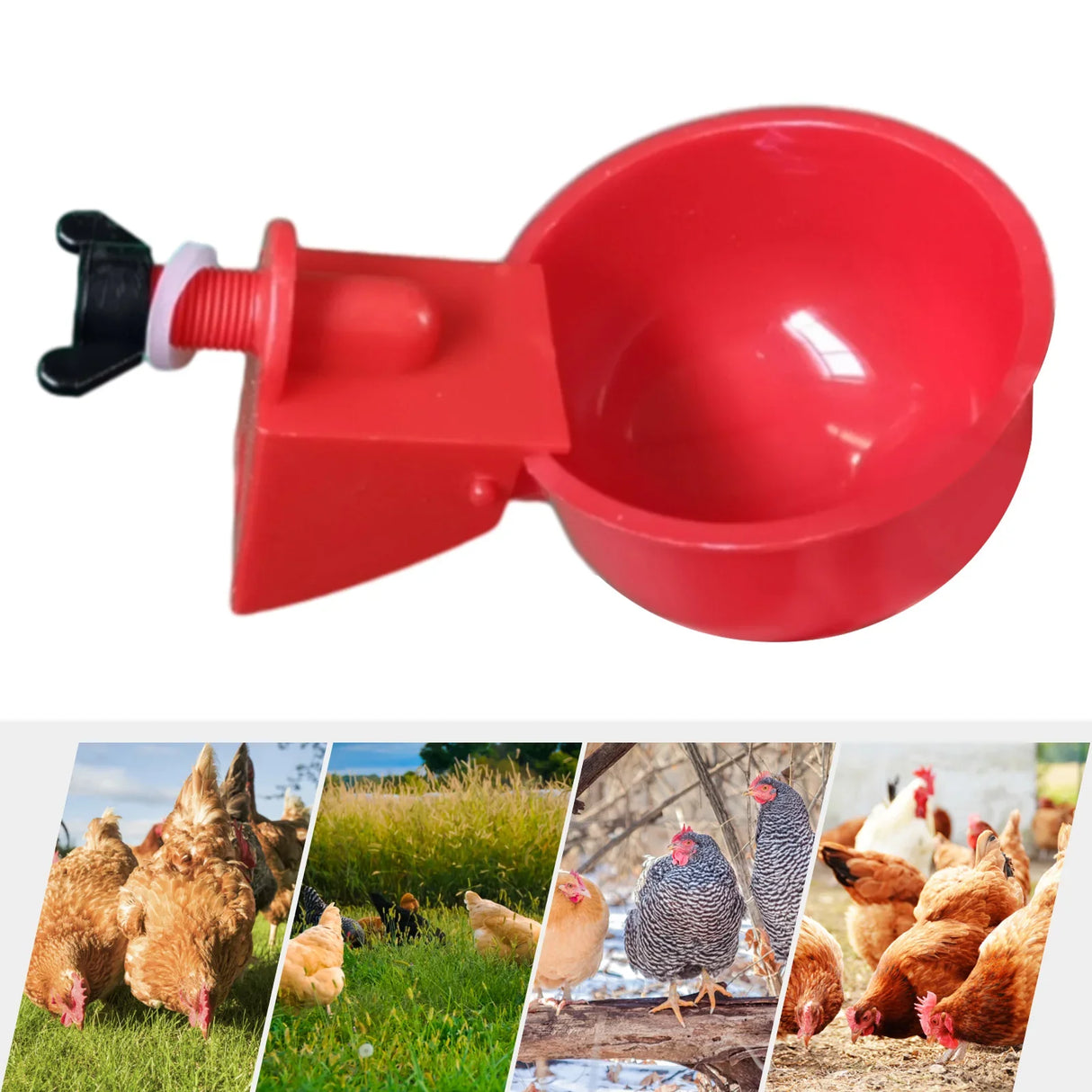 6Pcs Poultry Drinking Bowl Feeder Automatic Chicken Drinker Cup Kit Chicken Feeder Livestock Feeding Watering Supplies