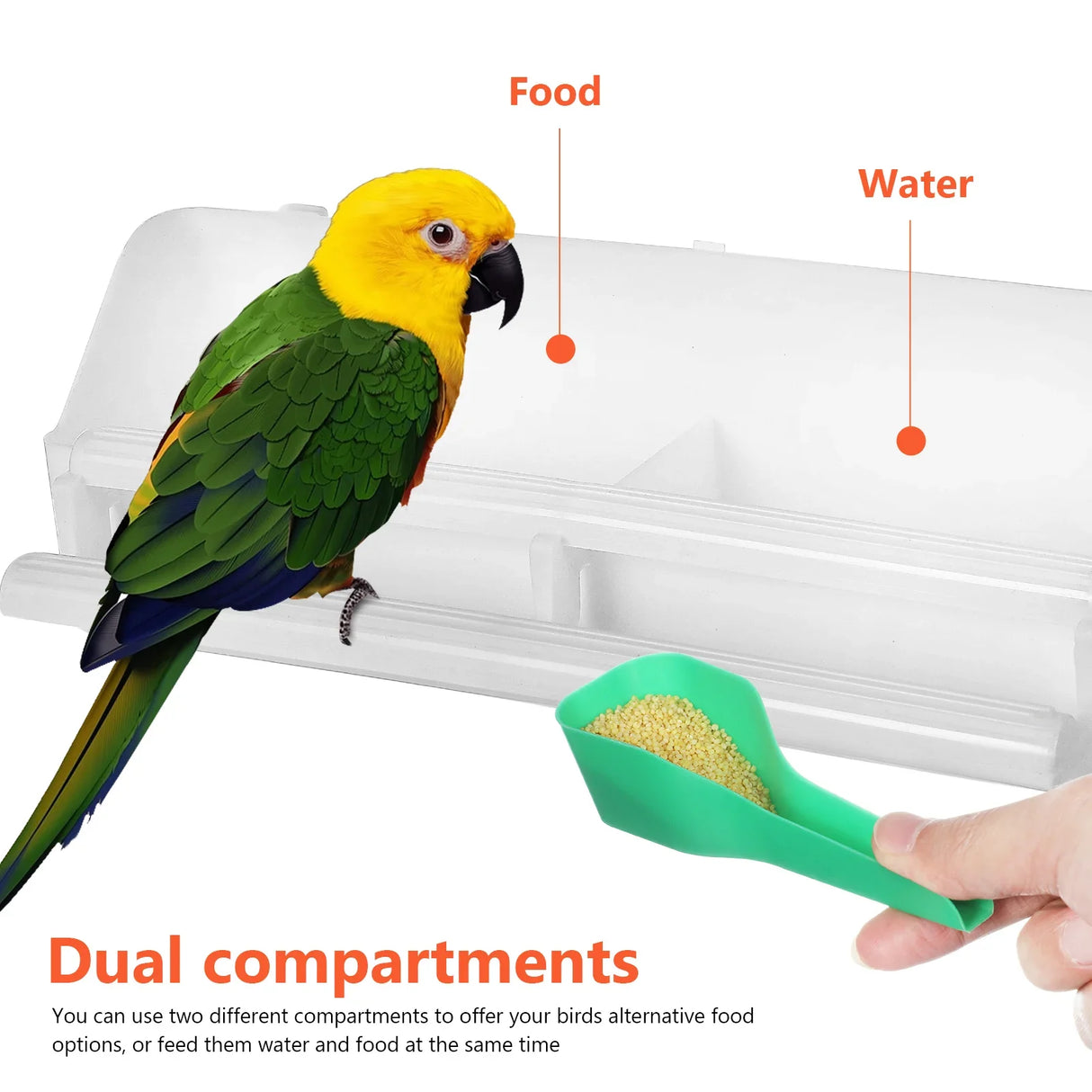 Cage Food Box Bird Spoon Water Dispenser Birds Feeding Tool Bowls For Parrot Feeder Accessories Pet Indoor Feeders