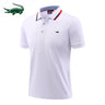 2024 high-quality men's ice silk breathable Polo shirt summer new high-end business leisure lapel short-sleeved T-shirt