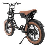 fat tire electric bike fat 20inch fat tire e-bikes Motorcycles 25km/h 48V 15ah 750w in EU