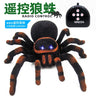 Animal Remote Control Cockroach Toy Infrared Trick Terrifying Mischief Kids Toys Funny Novelty Children Gift RC Spider Ant