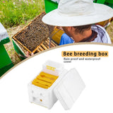 Multi-Function Beehive Beekeeping King Box Foam Home Bee Hive Pollination Boxes Harvest Bee Hive Beekeeper Mating Supplies