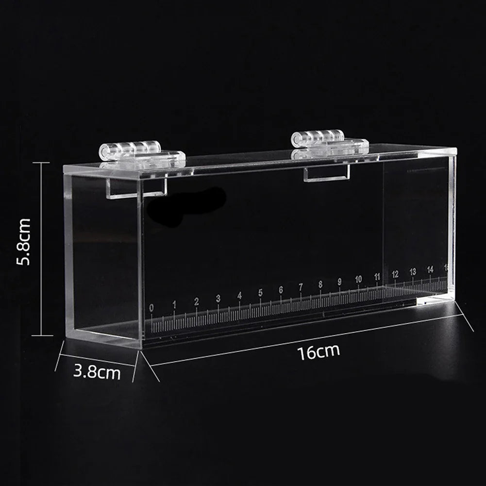 Fish Viewing Box Acrylic Material Isolation Box Betta Fish Aquarium Breeder Fish Tank Hatching Incubator Fish House Home Clear