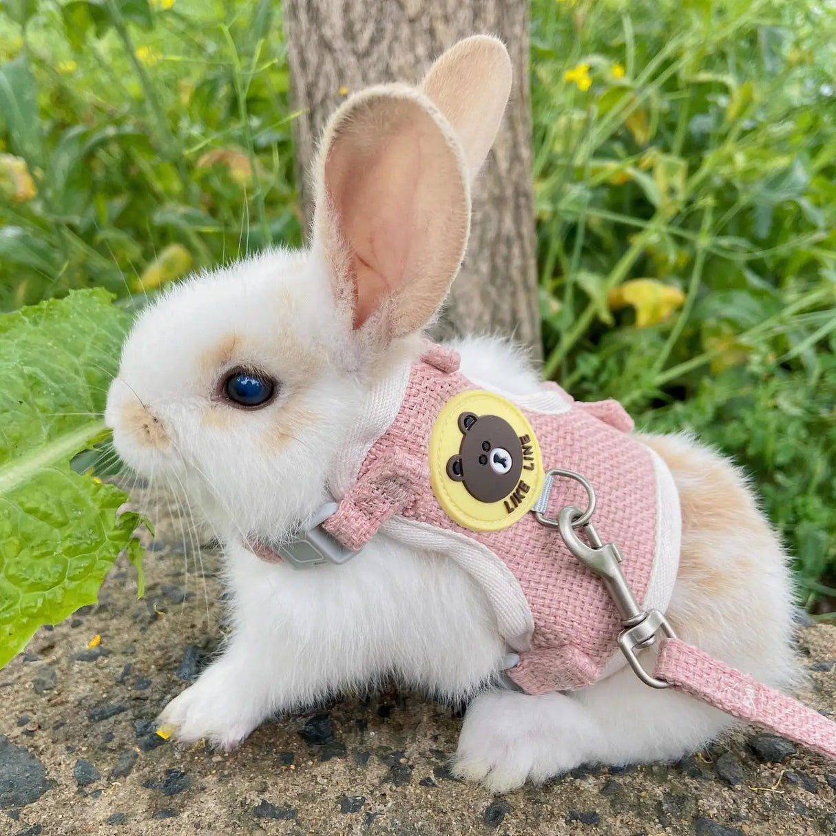 Cute Rabbit Harness Leash Set Bunny Soft Padded Dog Vest Small Puppy Carrier Teddy Bear Cat Collar Little Pet Walking