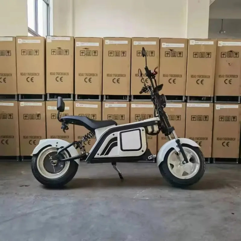 60V Electric two Wheels electric motorcycle up to 180kg for Teens and Adults