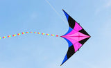 Free shipping delta kites flying toys for children kites factory nylon kites line professional kites reel fishing accessories