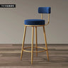 Bar Chair Simple Casual Home Cafe Stool Back High Chair Dining Chair Nail Shop Reception Room Bar Stools Bar Table for Home